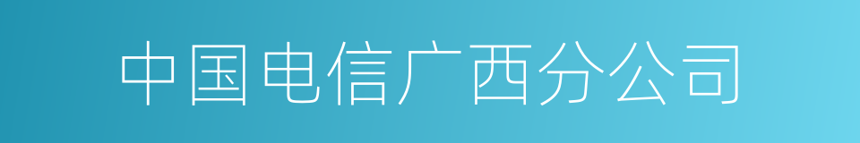 中国电信广西分公司的同义词