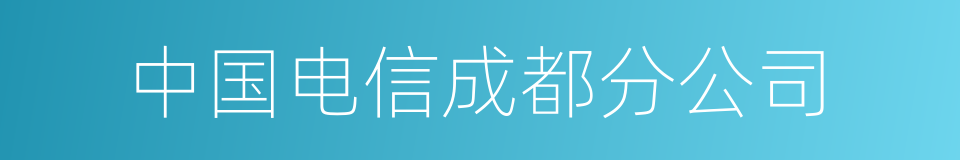 中国电信成都分公司的同义词