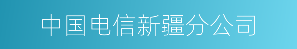 中国电信新疆分公司的同义词