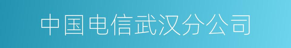 中国电信武汉分公司的同义词