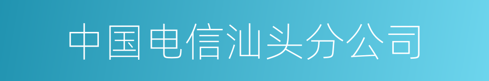 中国电信汕头分公司的同义词