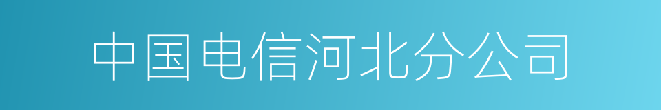 中国电信河北分公司的同义词