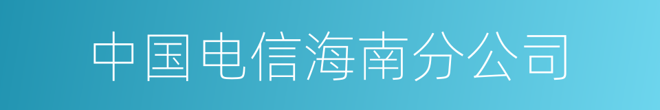 中国电信海南分公司的同义词