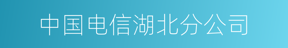 中国电信湖北分公司的同义词