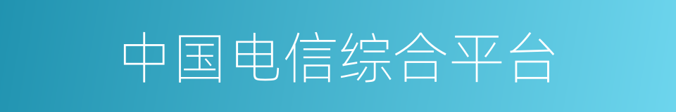中国电信综合平台的同义词