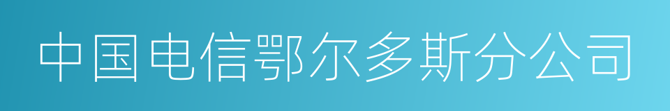 中国电信鄂尔多斯分公司的同义词