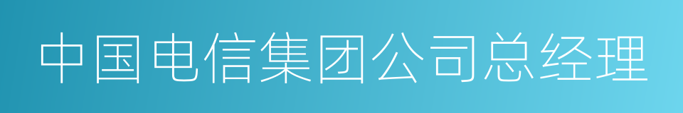 中国电信集团公司总经理的同义词