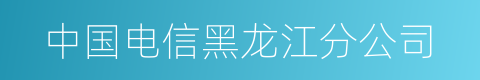 中国电信黑龙江分公司的同义词