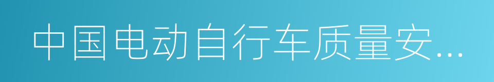 中国电动自行车质量安全白皮书的同义词