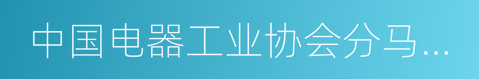 中国电器工业协会分马力电机分会的同义词