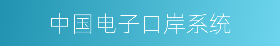 中国电子口岸系统的同义词
