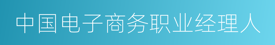 中国电子商务职业经理人的同义词