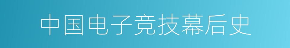 中国电子竞技幕后史的同义词