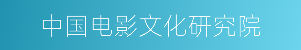 中国电影文化研究院的同义词