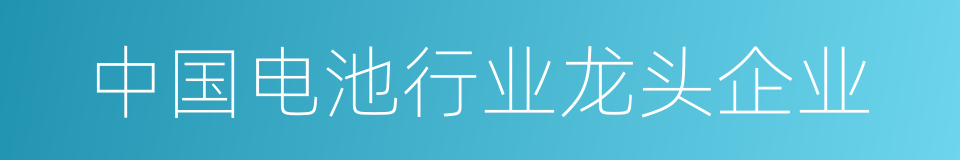 中国电池行业龙头企业的同义词