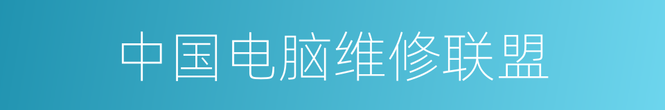中国电脑维修联盟的同义词