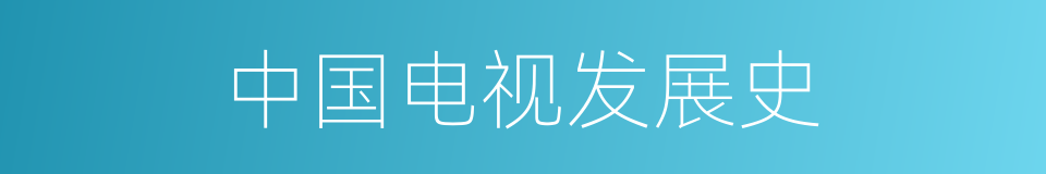 中国电视发展史的同义词