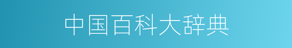中国百科大辞典的同义词