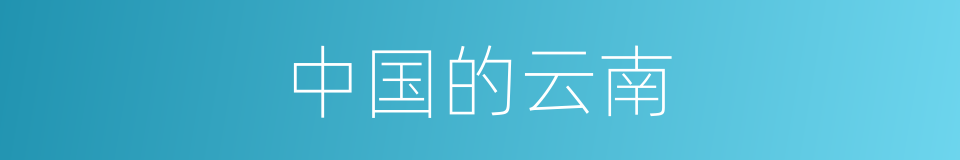中国的云南的同义词