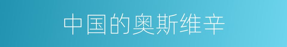 中国的奥斯维辛的同义词
