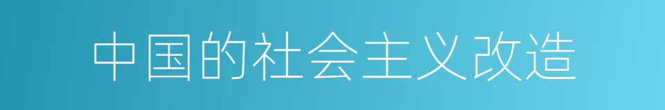 中国的社会主义改造的同义词