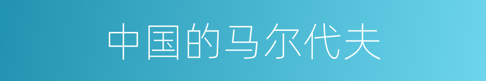 中国的马尔代夫的同义词