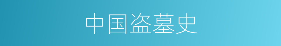 中国盗墓史的同义词