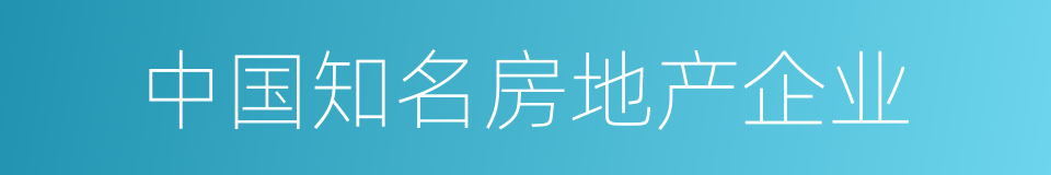 中国知名房地产企业的同义词