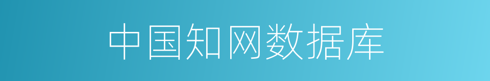 中国知网数据库的同义词