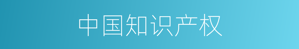 中国知识产权的同义词