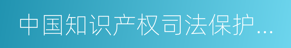 中国知识产权司法保护纲要的同义词