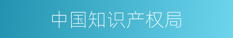 中国知识产权局的同义词