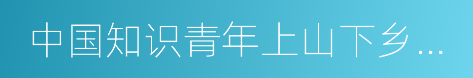 中国知识青年上山下乡大事记的同义词