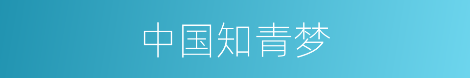 中国知青梦的同义词