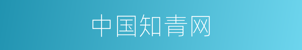 中国知青网的同义词