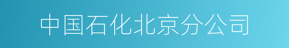 中国石化北京分公司的同义词