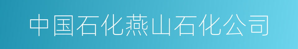 中国石化燕山石化公司的同义词