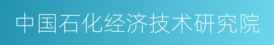 中国石化经济技术研究院的同义词