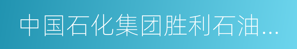 中国石化集团胜利石油管理局的同义词