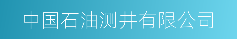中国石油测井有限公司的同义词