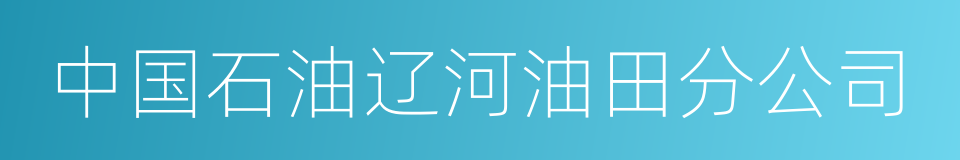 中国石油辽河油田分公司的同义词