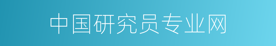 中国研究员专业网的同义词