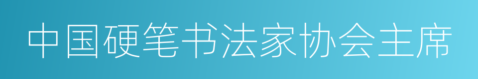 中国硬笔书法家协会主席的同义词