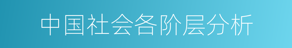 中国社会各阶层分析的意思