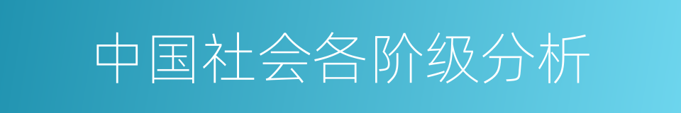 中国社会各阶级分析的同义词