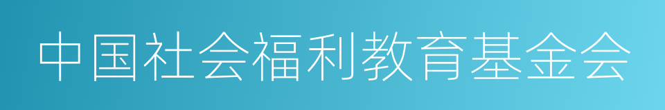 中国社会福利教育基金会的同义词