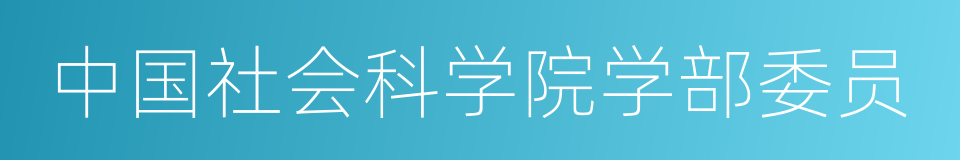 中国社会科学院学部委员的同义词