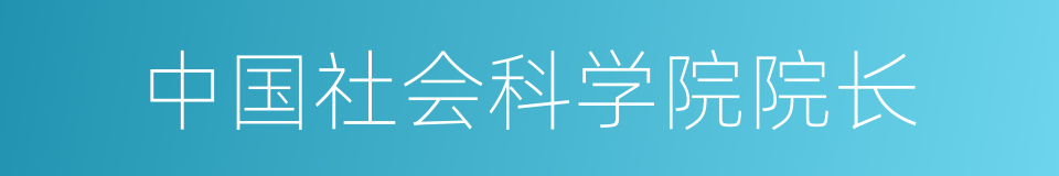 中国社会科学院院长的同义词