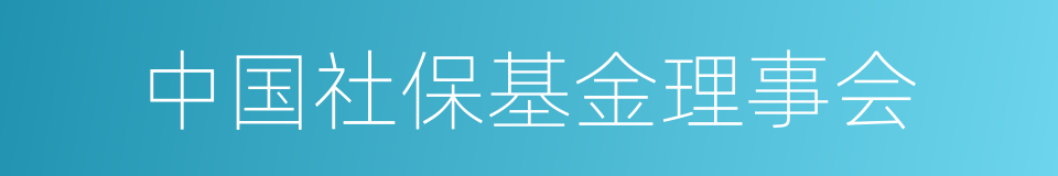 中国社保基金理事会的同义词