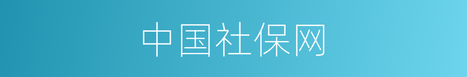 中国社保网的同义词